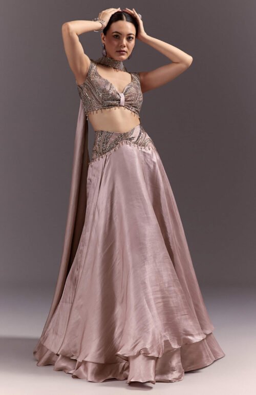 Brown Organza Lehenga With Sweetheart Neck Blouse And Choker Dupatta
